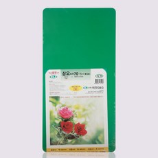 네오플 업소용 위생도마 특4호 600x350x13 (식당 주방), 1개, 초록색