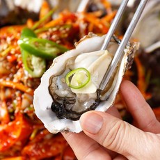 통영 산지직송 햇 생굴, 1개, 1kg