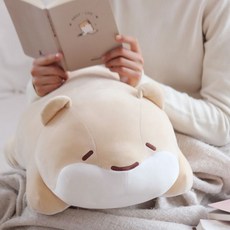 [천삼백케이] [카리노] [아라찌] 아라찌 라잉 (대형) 45cm
