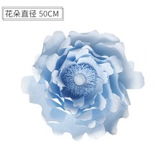 시그니엘프로포즈