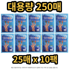 (인기상품) 파스 붙이는파스 글루홍삼 250매 허리 근육통 무릎 관절, 25매, 10팩