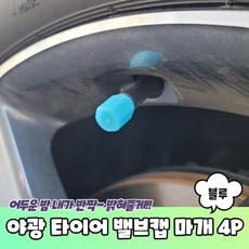 야광 타이어 밸브캡 마개 블루 4P, 4개, 쿠팡 본상품선택