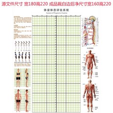 체형분석스크린
