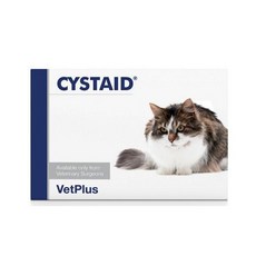 시스테이드플러스리뉴얼전