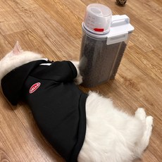 [딩동펫(펫)] 딩동펫 반려동물 강력밀폐 사료보관통 2.5L