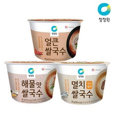 [KT알파쇼핑]청정원 컵쌀국수92g 3종중 (해물 x 10개) +(증정)추가2개, 92g, 10개