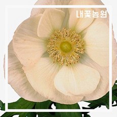 9f2690ecc5c2e6f555f42f02a749a44802c0aed0d5c0799b592c9cb26a2b.jpg