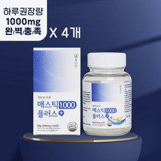 휴나인 그리스산 100% 매스틱 검 1000 플러스 [하루 섭취량 100% 충족], 60정, 4개