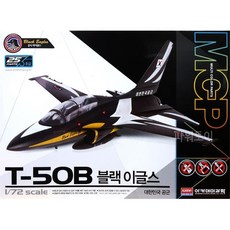 블랙이글스완구