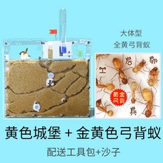 앤트킹 개미사육장 여왕개미 키우기 개미굴 분양 집 자연관찰 땅굴 곤충, 1개, 노란색성+황금색등개미(후방1마리+개미50마리)