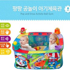 공놀이아기체육관