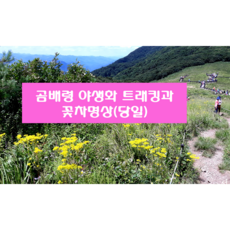 [4월24일출발확정] 강원도여행 곰배령 야생화트래킹과 꽃차명상 주말나들이 버스여행, 4월24일 출발확정