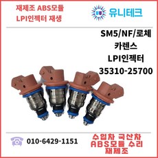 lpi인젝터