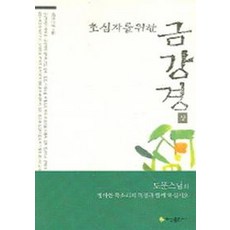 초심자를 위한 금강경(상), 혜성