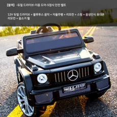 그린전기자동차기사책추천