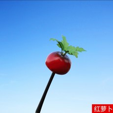 당근안테나볼