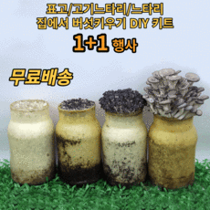 어린이집버섯재배