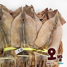 [오발] 국내산 마른오징어1Kg급 1축 20마리, 1kg (20마리), 1개