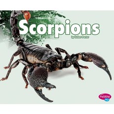 Scorpions Library Binding, Capstone Press