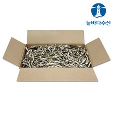 다시멸치최상급