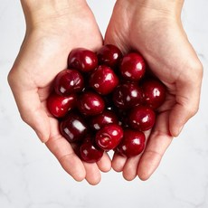 psk항공직송킹체리