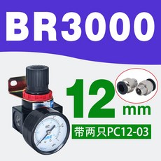 br-3000미니