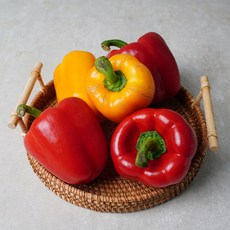 알록달록 가성비 화순 못난이 파프리카 1kg, 1개