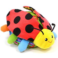 무당벌레는내친구