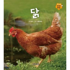 닭, 그린키즈, 알기쉬운 자연관찰