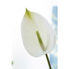 c1891bb4c2c217ceae226c85df26ce637d1764a45c0cfe70b24b3145f4ac.jpg