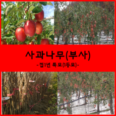 bdf7f7ec9e671dfca5c0c2317904b3a4346fe7c19a099fe03fc71604cdf4.png