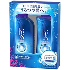 에이치앤에스사다리