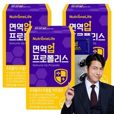 엔트리프로폴리스
