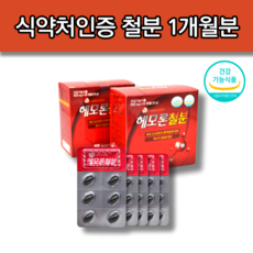 임산부 출산후 산모 임신중 모유수유 남자 중학생 고등학생 철분제