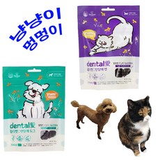 옵티펫