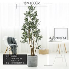 //상품명