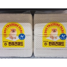 페스룸배변패드