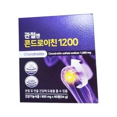 콘드로이친1200 TOP01