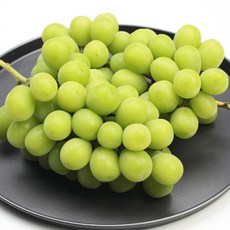 경북상주