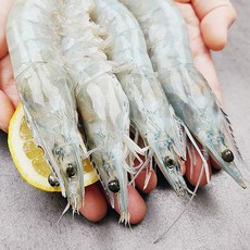 생새우철