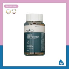 마음반려몰 고함량 기관지 강아지영양제 기침개선, 1개, 호흡기/기관지, 60정