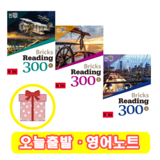 브릭스리딩300