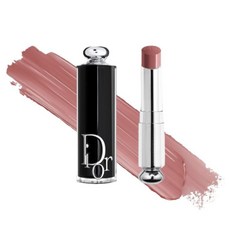 디올 어딕트 립스틱