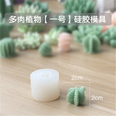 다육공예패키지