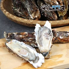 경남 통영 석화(각굴) 5kg 40~80마리, 상세페이지 참조