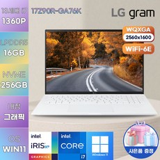 LG전자 WIN11 LG gram 17Z90R-GA76K 가벼운 노트북 학생용 가성비 노트북, WIN11 home, 16GB, 256GB, 코어i7, 스노우 화이트