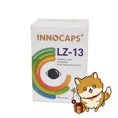 이노캡스 LZ-13 60캡슐 눈 영양제, 단품, 단품