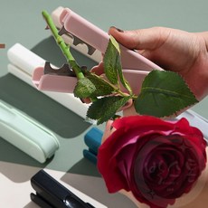박스톤 화홰손질 생화 꽃꽂이 가시 제거기 꽃집, 그린
