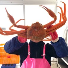 대게2kg