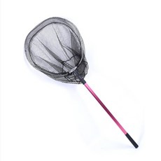물놀이채집